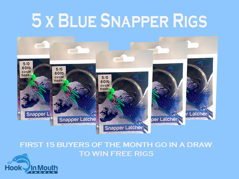 Gummy Shark Surf Fishing Flasher Rigs Blue 60lb 5/0 Snapper Rig Pre Tied