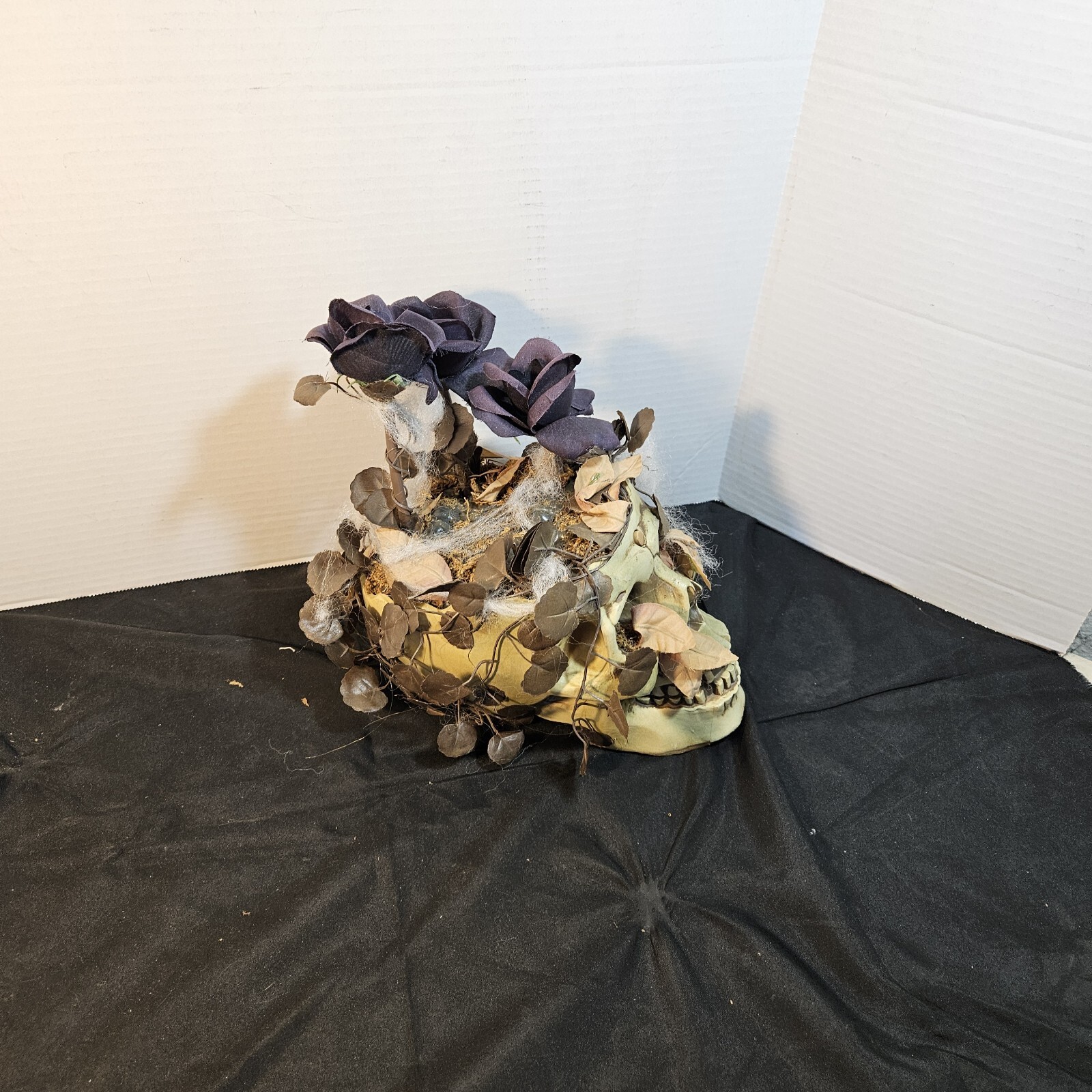 Picture 11 of 23
