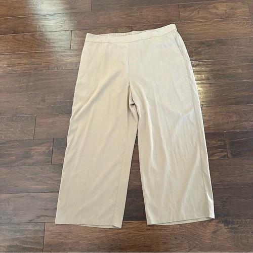 Eileen Fisher Sandwashed Tencel Pants XL MOCHA Brown Pull On NWT Wide Leg Casual
