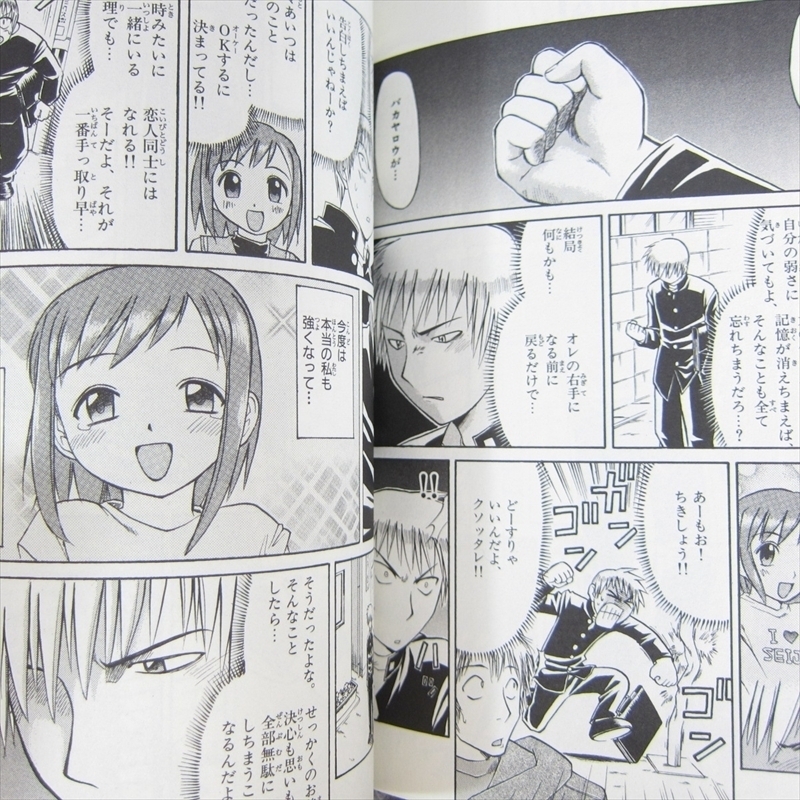MIDORI NO HIBI Manga Comic Set 1-4 KAZUROU INOUE Japan Book SG* | eBay