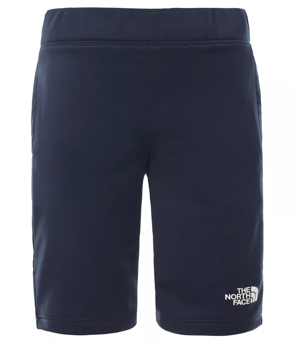 Boys the best sale north face shorts
