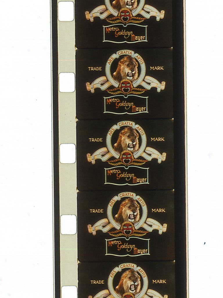Picture 2 of 11