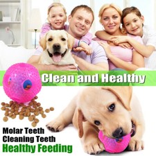 Pet Dog Interactive Treat Ball Toys Food Dispenser Feeder IQ Chewers Teeth Clean