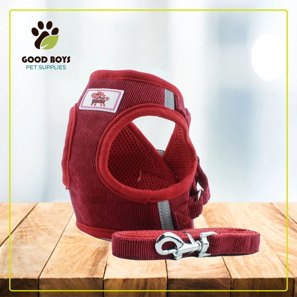 ARNÉS REFLECTANTE PARA PERROS MALLA SUAVE ACOLCHADO PARA MASCOTAS PERRO GATO VENDEDOR DE EE. UU. CALIDAD SUPERIOR Foto 2 de 4