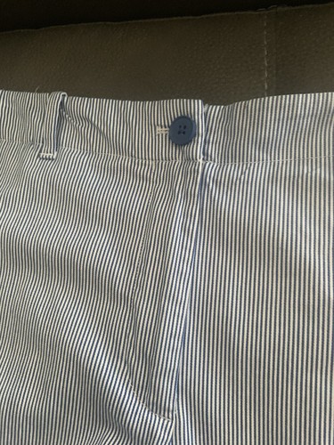 Talbots Womens Seersucker Ankle Pants 12 Blue Stripe Lightweight Beach - 第 2/6 張圖片