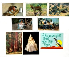 Vintage Postcards  Mixed Lot of 8 Misc Postcards  Cultural and More