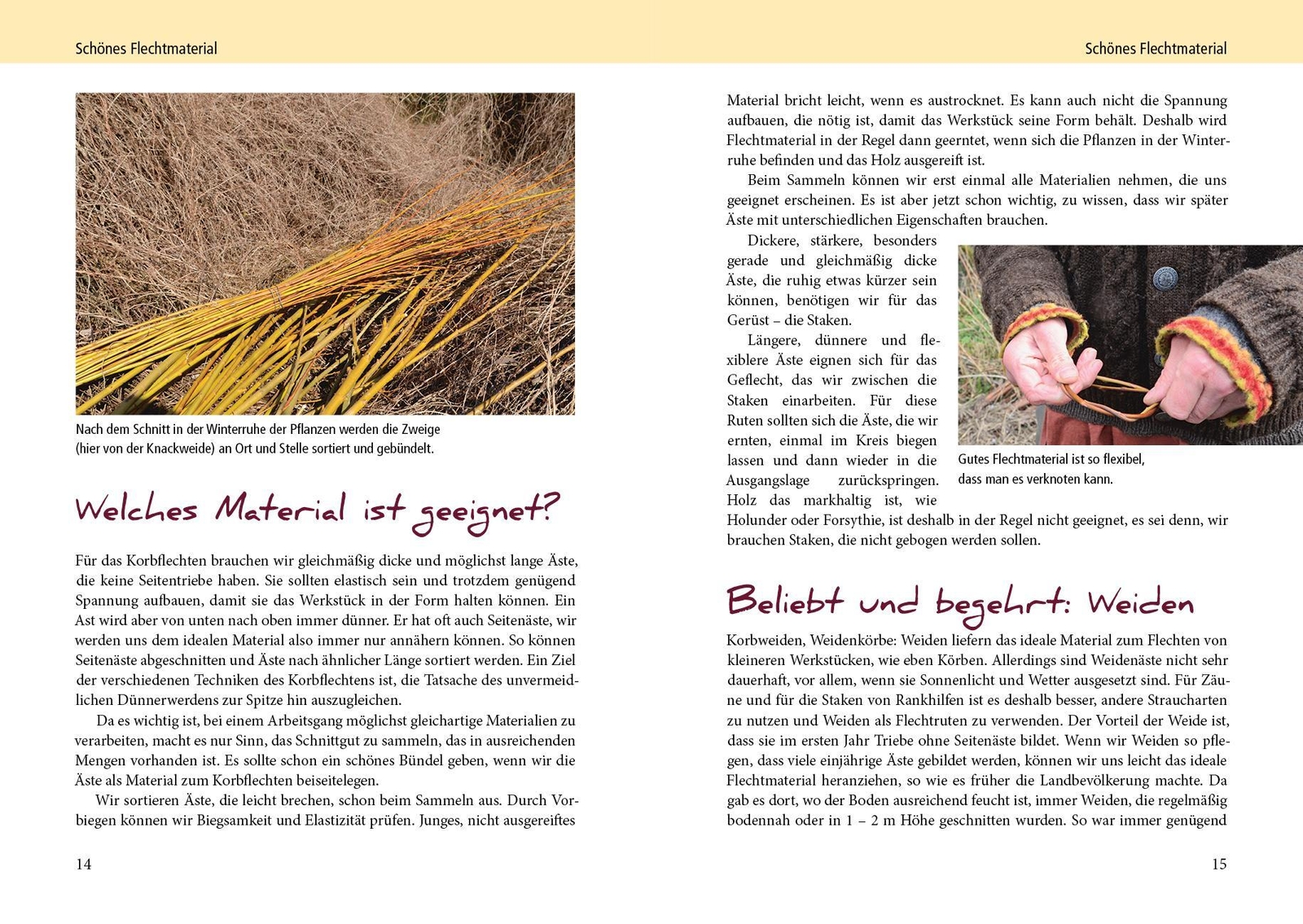 Thumbnail - Workshop Korbflechten | Ulrike Aufderheide (u. A.) | Deutsch | Buch |
