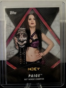 Paige WWE | eBay