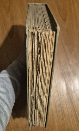 First Edition Arthur Rackham: Little Brother & Little Sister, 1917 - Imagen 17 de 19