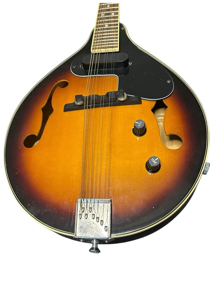 Mandolina eléctrica acústica Fender FM-52E SB probada por rayos solares funciona Foto 3 de 4