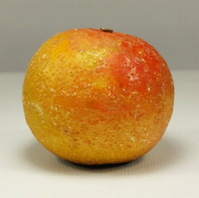 Early Italian Alabaster Stone Marble Fruit ORANGE Hand Chiseled & Painted