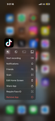 Apple iPhone 16 Pro Max - 256 GB  W/ TikTok App