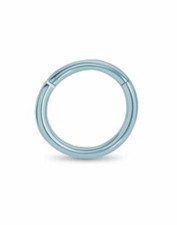 Titanium Hinged Segment Ring Nose Hoop Ear Cartilage 5/16" - 8mm 16 Gauge 16G