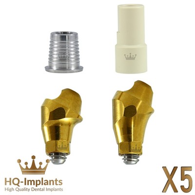 Q5 Angular 30° Multi Unit Prosthetic CAD/CAM Set Conical Connection RP 2.65mm