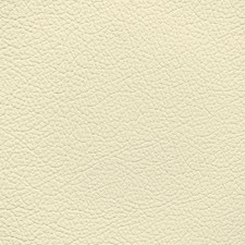 Mercedes Light Shell Leather Dye