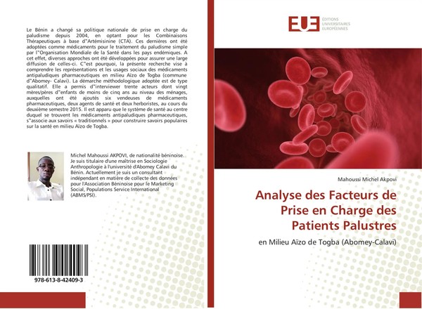 Mahoussi Michel Akpovi | Analyse Des Facteurs De Prise En Charge Des Patients...-image