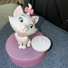 Disney Cats & Dogs Mystery Vinyl Figure Blind Box Confirmed Marie The Aristocats