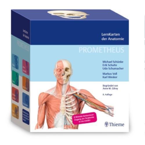 Thumbnail - Prometheus Lernkarten Der Anatomie 6635