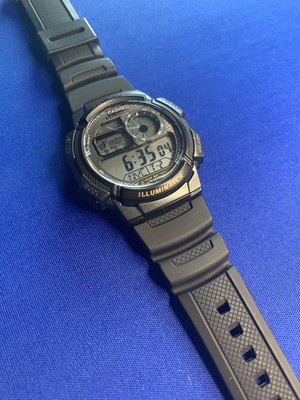 casio 3198