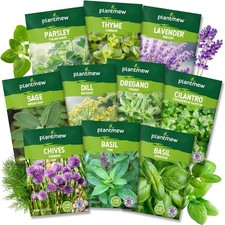 Assorted Non-GMO Herb Seed Pack - 10 Heirloom Varieties for Gardening