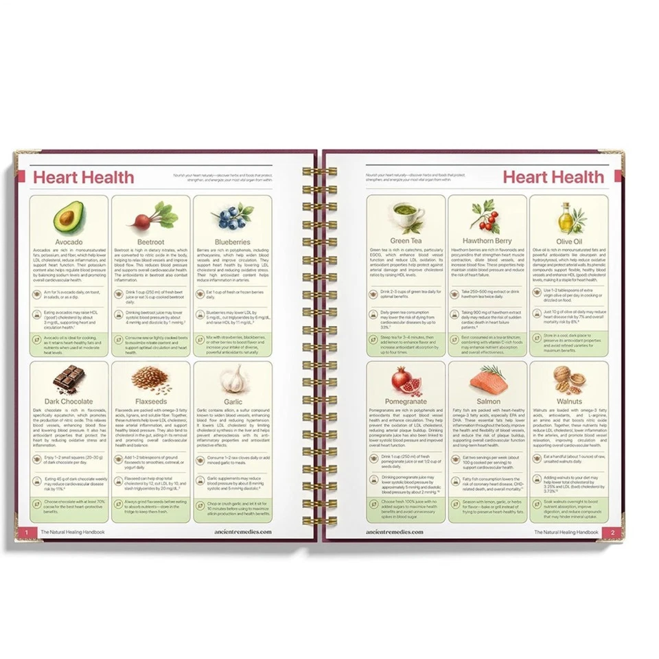 The Natural Healing Handbook, Spiral-Bound Guide for Herbal Remedies and Natural - image 4 of 4