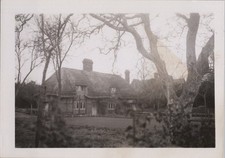 Foto de casa de campo con techo de paja de la década de 1940 enmarcada por ramas desnudas