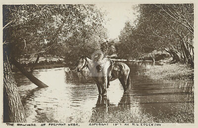 Rawhide of Fremont, NE Nebraska 1907 RPPC Photo Postcard Copy | eBay