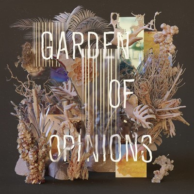 Footprint Project Garden of Opinions (CD)