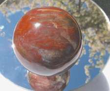 amazing-petrified-wood-65mm-sphere-colorful-collectable-434-grams-or-153-oz