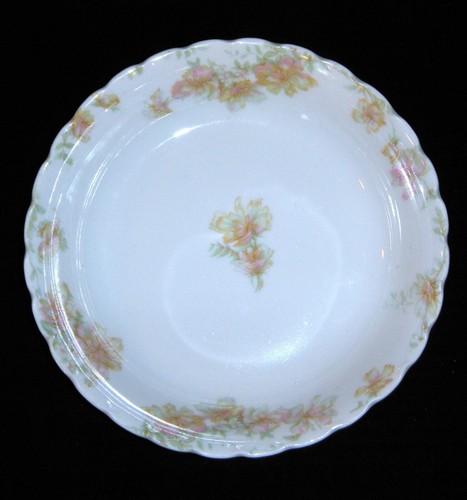 Rare Antique Haviland Limoges, France The Countess Schleiger #69 Fine Dinnerware - Picture 71 of 329