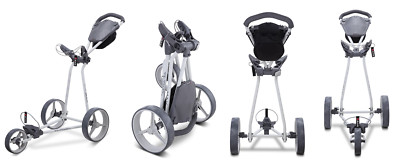 BIG MAX 2024 TI TWO - Golfcart 