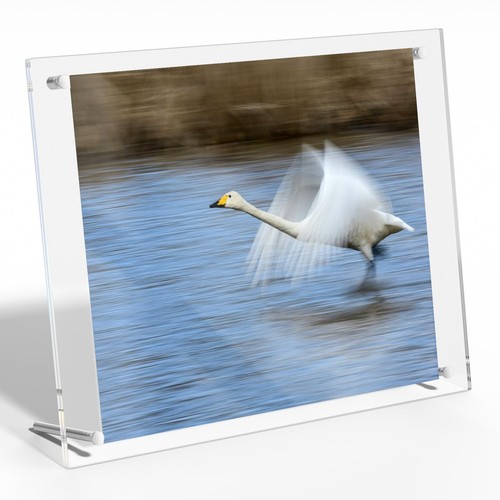 8.5x11 Acrylic Picture Frame,Clear Frameless Photo Frame for Wall & Desktop D...