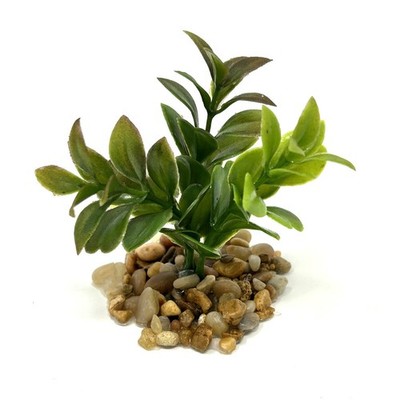 3'' Mini BROWN-Green BOXWOOD Plastic Plant, Stone Base, Lower Forty Farm, unique