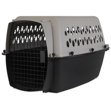 Vibrant Life Pet Portable Kennel for Dogs, For Pets 15-25 lbs, 26.2"x18.6"x16.5"