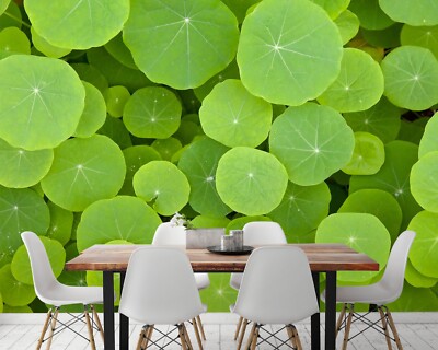 3D Lotus Leaf E1115 Wallpaper Mural Paper Wall Print Indoor Murals CA Honey