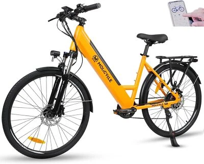 Molicycle R1 26 Zoll Damen E-Bike 250W Elektrofahrrad City Pendeln 36V 14,5Ah