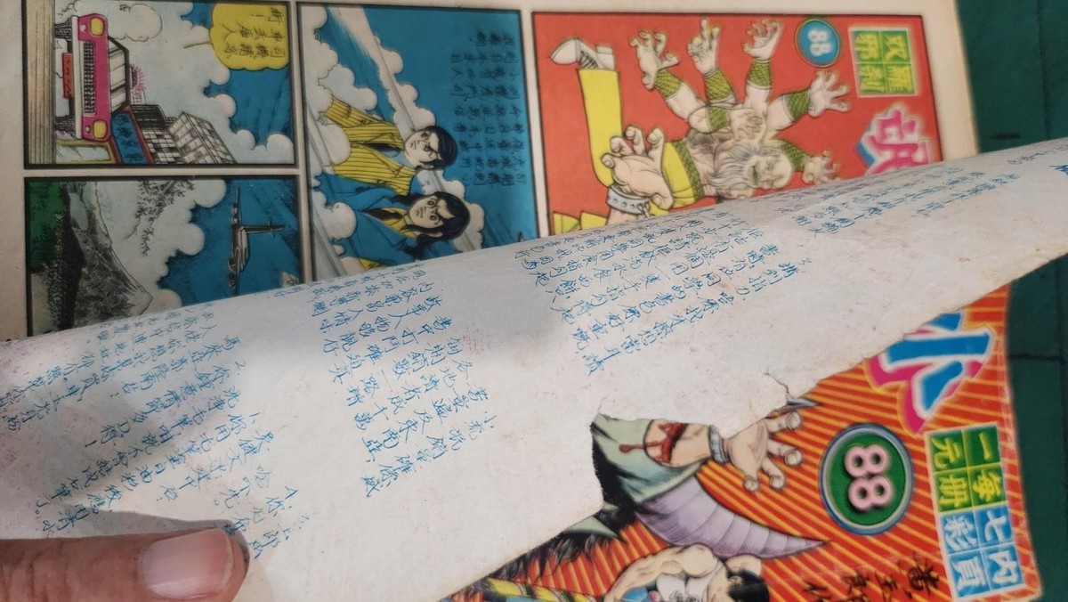 BS3) 70s Hong Kong Dragon Tiger Gate Little Vagabond小流氓