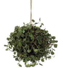 Vickerman 6" Artificial Angel Vine Kissing Ball Green Indoor Decor