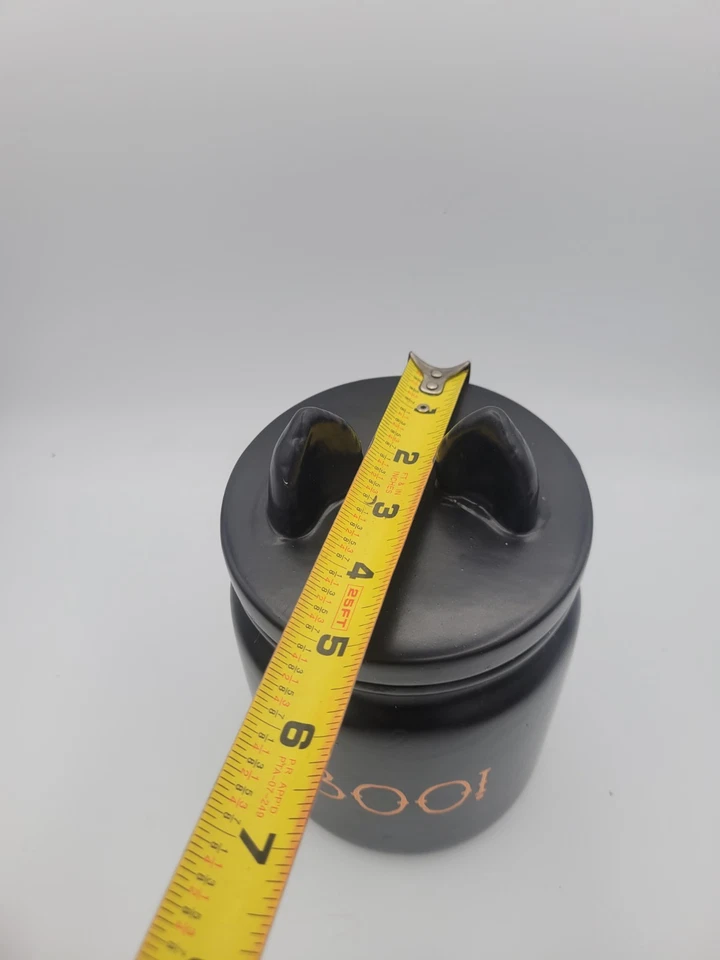 ¡Nuevo! M Magenta Rae Dunn BOO Gato Negro Halloween Galleta Mascota Golosina Tarro Bote Foto 3 de 4