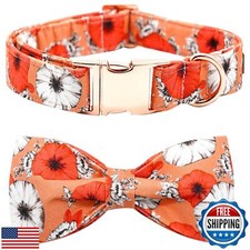 Bobo Rainbow Fall Dog Collar, Pet Collar Bow Floral Pet Collar Girl Boy Holid