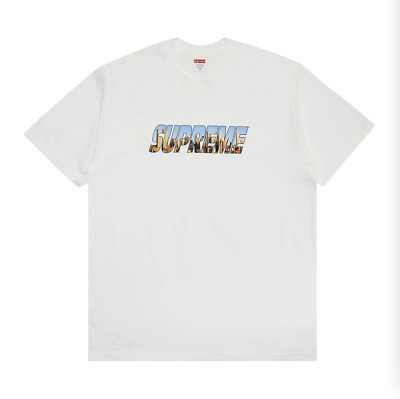Supreme Gotham Tee - Size Medium - White - NEW | eBay