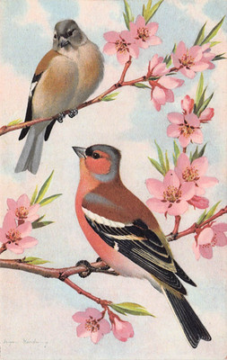 KÜNSTLER EUGENE HARTING - VÖGEL - 5 VINTAGE KÜNSTLER SIGNIERTE POSTKARTEN #244296