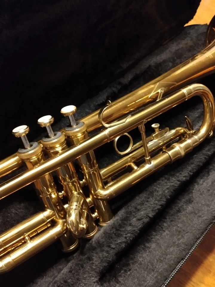 TROMPETA PLANTILLA SUPER ARTISTA PERSONALIZADA YORK FINALES DE LOS 40 DE COLECCIÓN Foto 4 de 4