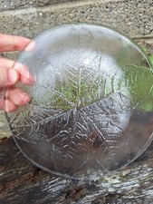 Kosta Boda Clear Glass Plate With Leaf Design. Swedish Art Glass . 7.5 Inch...