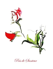 "Pois" Contemporary Botanical Print-5 x 7 in an 8 x 10 White Beveled Mat