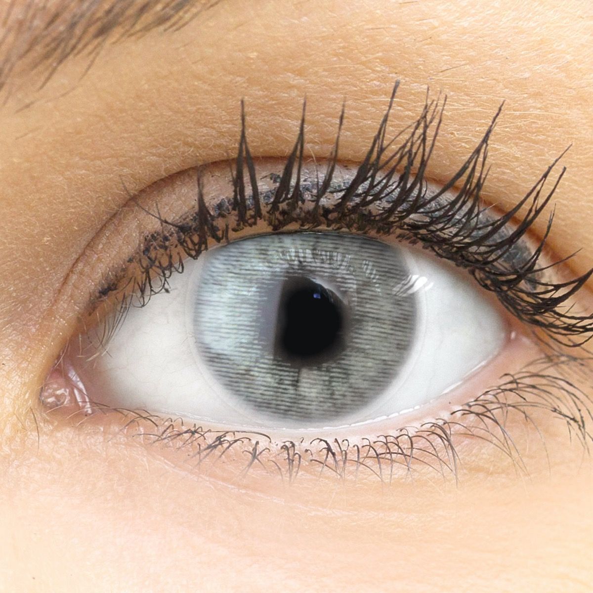 GLAMLENS Farbige graue Kontaktlinsen mit ohne Stärke weich grau Keira Gray