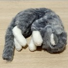 Bild 2 von 6