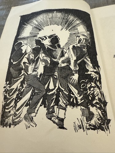 MYSTERY AT GHOST LODGE By Christine Noble Govan, Emmy West Ex-Library 1st 1963 - Picture 6 of 10