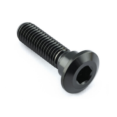 Racebolt Stainless Steel Front Disc Bolt Set – M10 X 1.25mm X 30mm – For Kawasaki (31 Pcs)