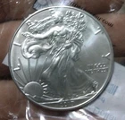 2017 American Eagle Silver Dollar Coin Uncirculated